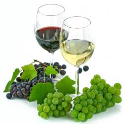 Traducción vitivinícola y enológica FR-ES